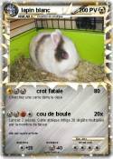lapin blanc