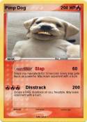 Pimp Dog