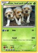 max, bud and