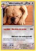 MMrei buldog