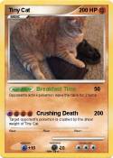 Tiny Cat