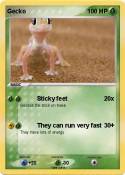 Gecko