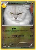 grumpy cat
