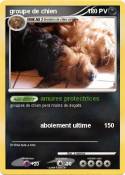 groupe de chien