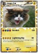 Angry Cat