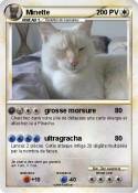Minette