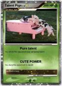 Talent Pigs