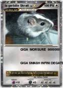 la gerbille Skr