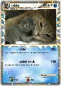tabby