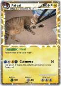 Fat cat