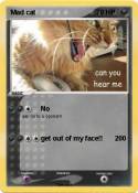 Mad cat