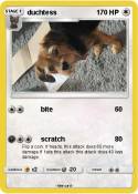 duchtess