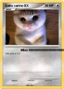Gatto carino