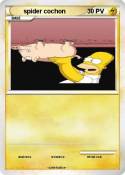 spider cochon