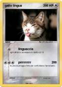 gatto lingua
