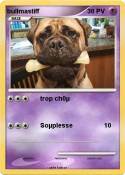 bullmastiff