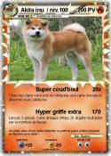 Akita inu /