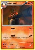 pyro gard