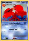 blue red birds