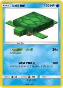 babi turt