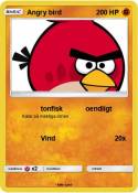Angry bird