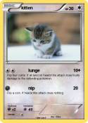 kitten