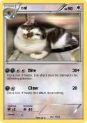 cat