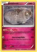 potatocat