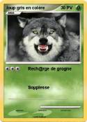 loup gris en