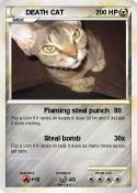 DEATH CAT