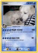 Chiot