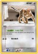 Tabbi