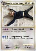 Zeester op het