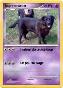 loup-rottweiler