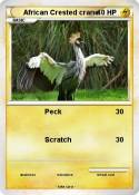 African Crested
