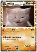 evil kitty