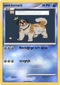saint-bernard