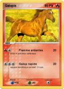Galopis