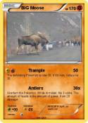BIG Moose