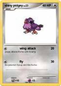 shiny pidgey