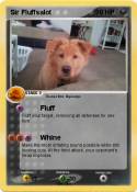Sir Fluffsalot