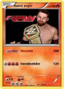 sami zayn