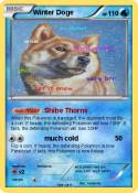 Winter Doge