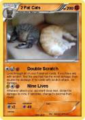 2 Fat Cats