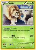 Mr.Lion
