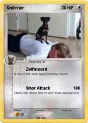 Snitcher