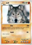 wolf