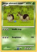 berger allemand