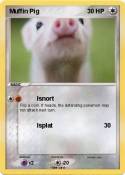 Muffin Pig