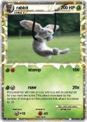 rabbit